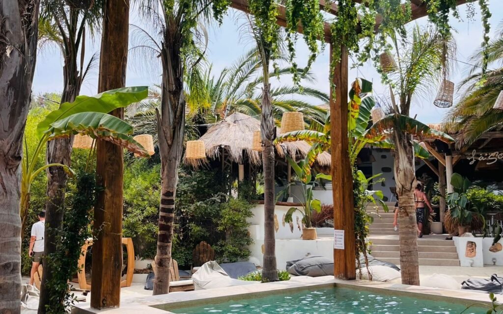 Piscina com pérgola e plantas em uma hospedagem